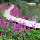 Victorian lake and water gardens