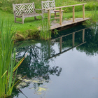 wildlife pond Dinton