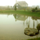 Swallowfield