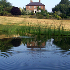 Swimming pond, Bentley, Hampshire