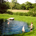 Swimming pond, Alton
