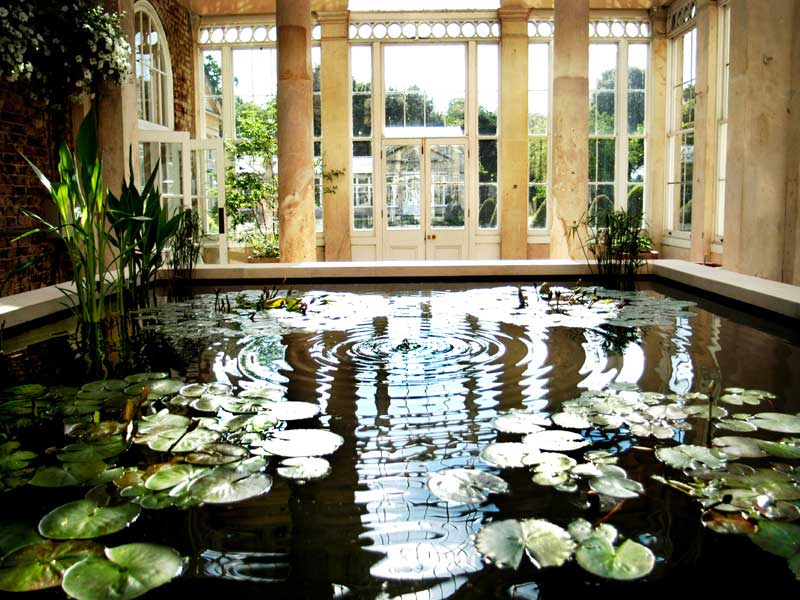 Syon house conservatory pond, London