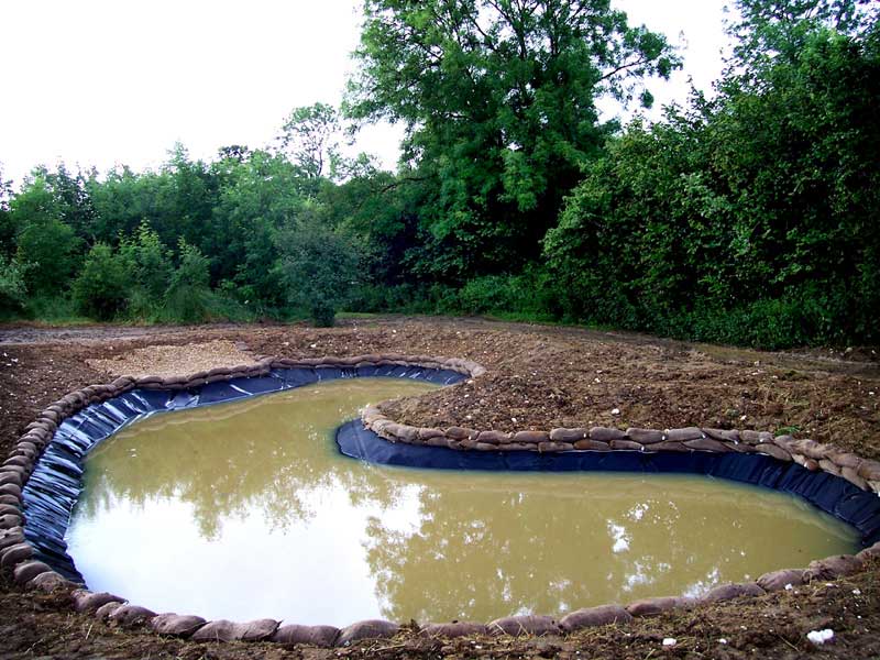 Natural wildlife pond construction, Alton, Hampshire