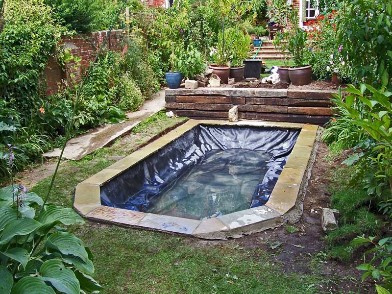 Small garden pond, Winchester.