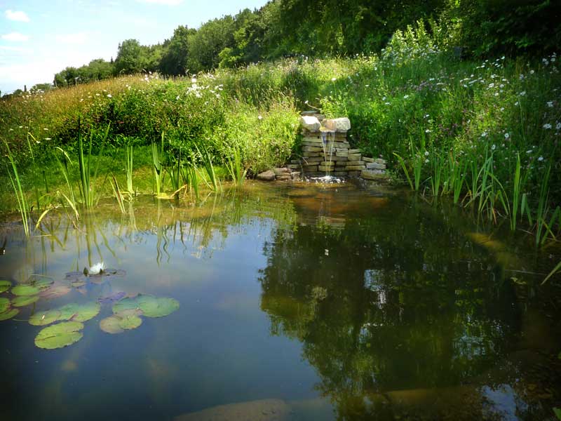 Two ponds linked by a rill, Hampshire
